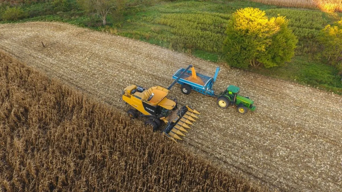 SNAG11 aumenta dividendos para R$ 0,20 e atrai investidores